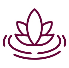 Alt Image